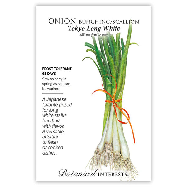 Botanical Interests, Inc. - Onion Bunching (white) Tokyo Long Seeds - Southern Agriculture 
