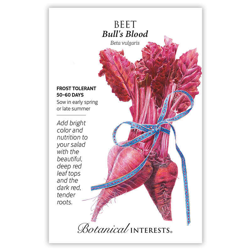 Botanical Interests, Inc. - Bull's Blood Beet Seeds