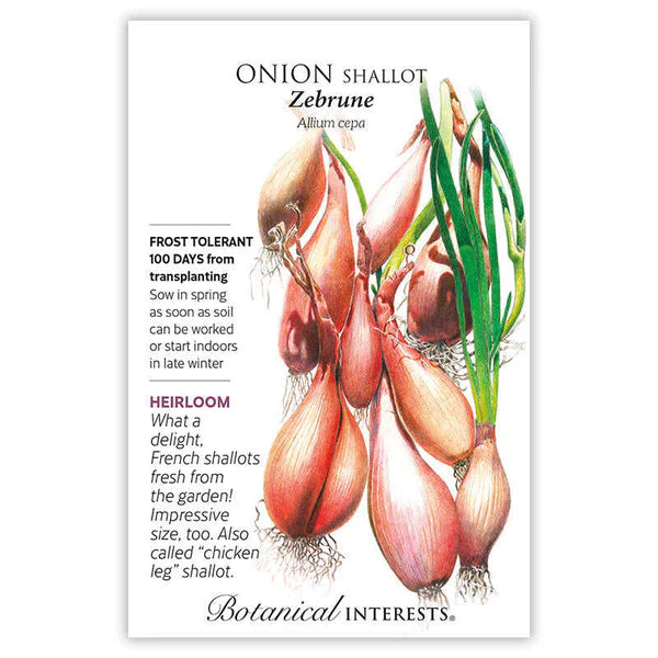 Botanical Interests, Inc. - Onion Shallot Zebrune (LD) Seeds - Southern Agriculture 