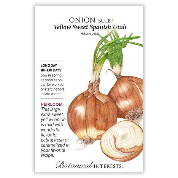 Botanical Interests, Inc. - Onion Bulb (yellow) Sweet Spanish UT (LD) Seeds - Southern Agriculture 
