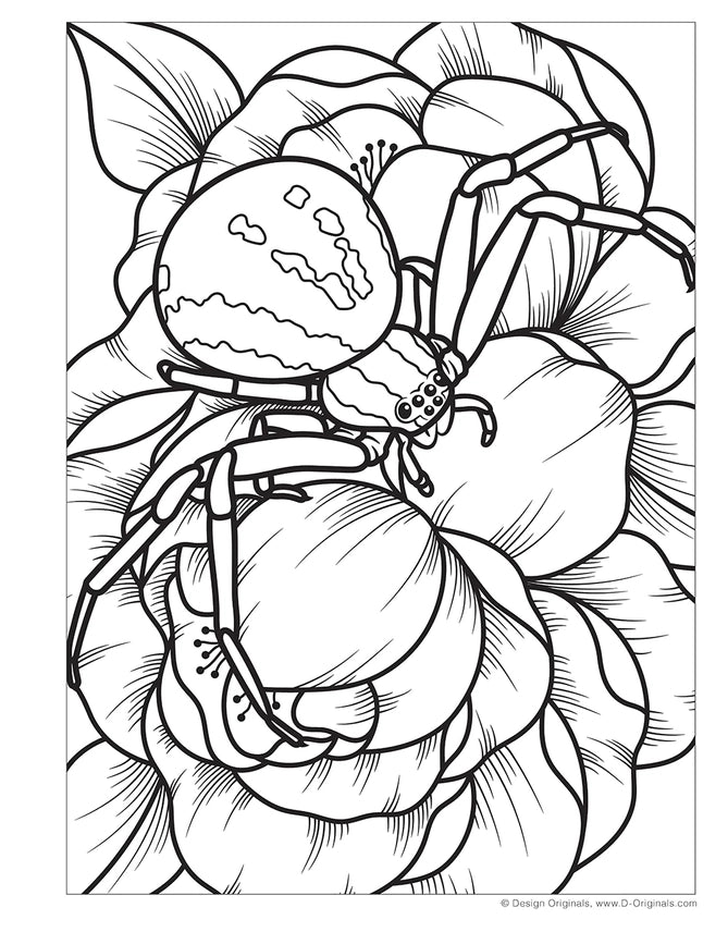 Wellspring- Coloring Book - Super Cool Bugs & Spiders