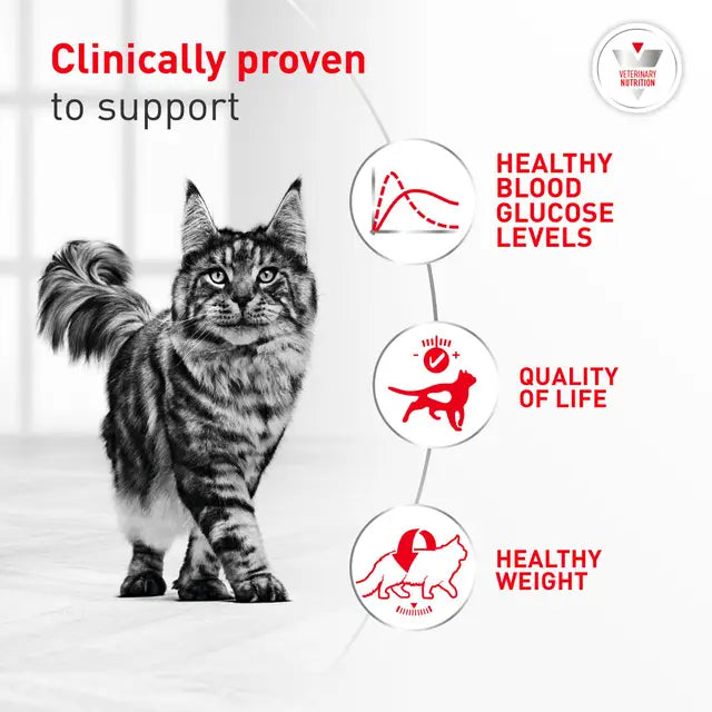 Royal Canin Veterinary Diet - Glycoadvanced Cat Dry Food
