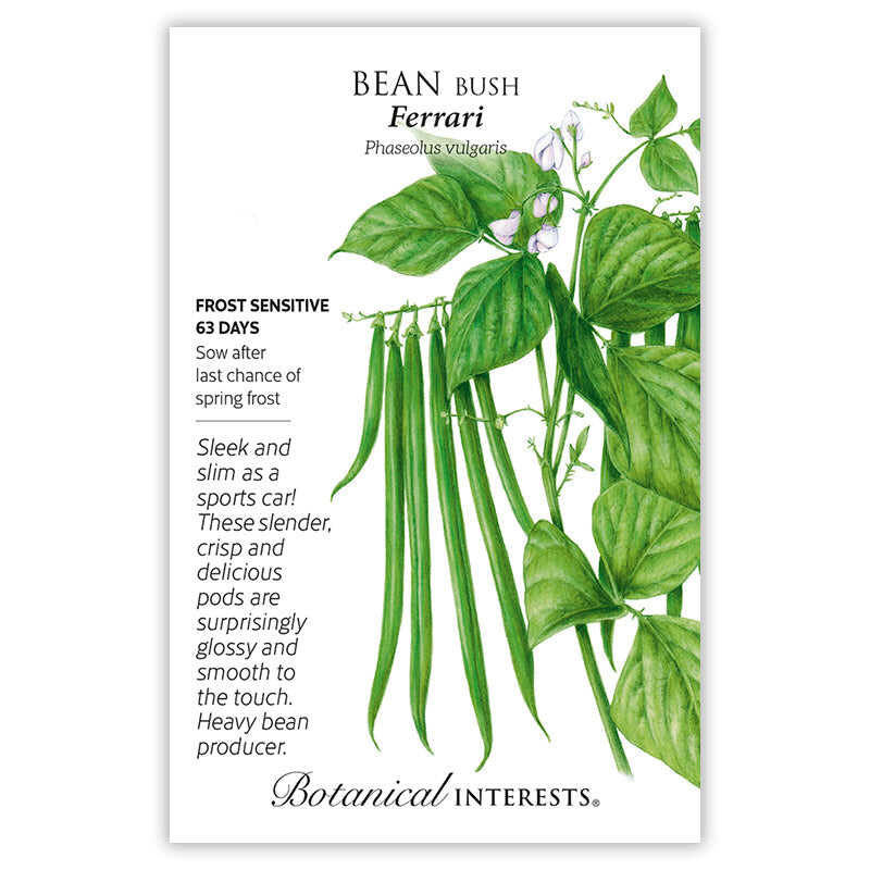 Botanical Interests, Inc. - Ferrari Bush Bean Seeds