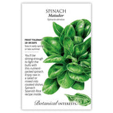 Botanical Interests, Inc. - Spinach Matador Seeds