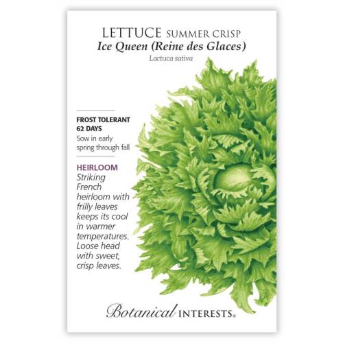 Botanical Interests, Inc. - Ice Queen (Reine des Glaces) Crisphead Lettuce Seeds