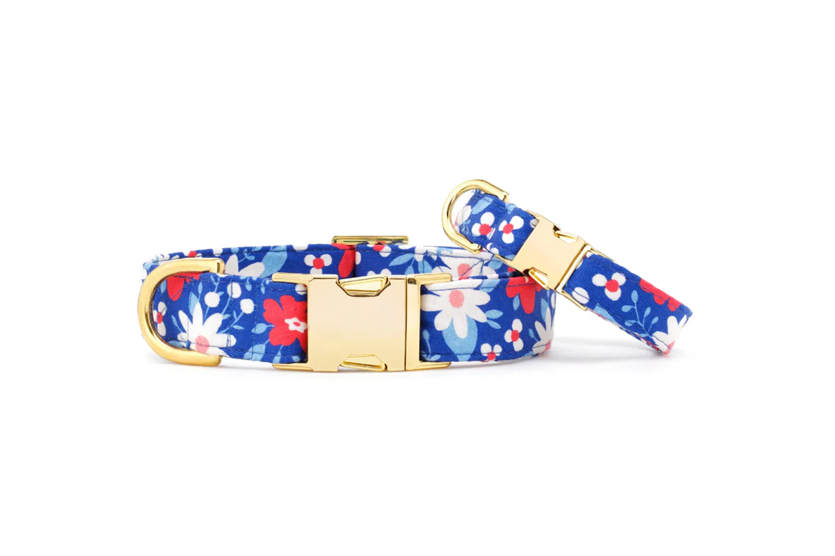 The Foggy Dog - Dog Collar Liberty Garden