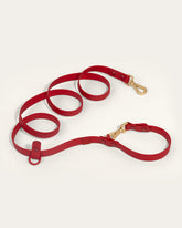 Furry Muse - Leash Wander Multiway