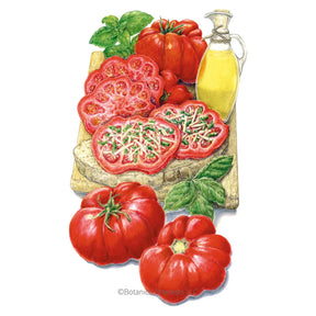 Botanical Interests, Inc. - Costoluto Genovese Pole Tomato Seeds - Southern Agriculture 