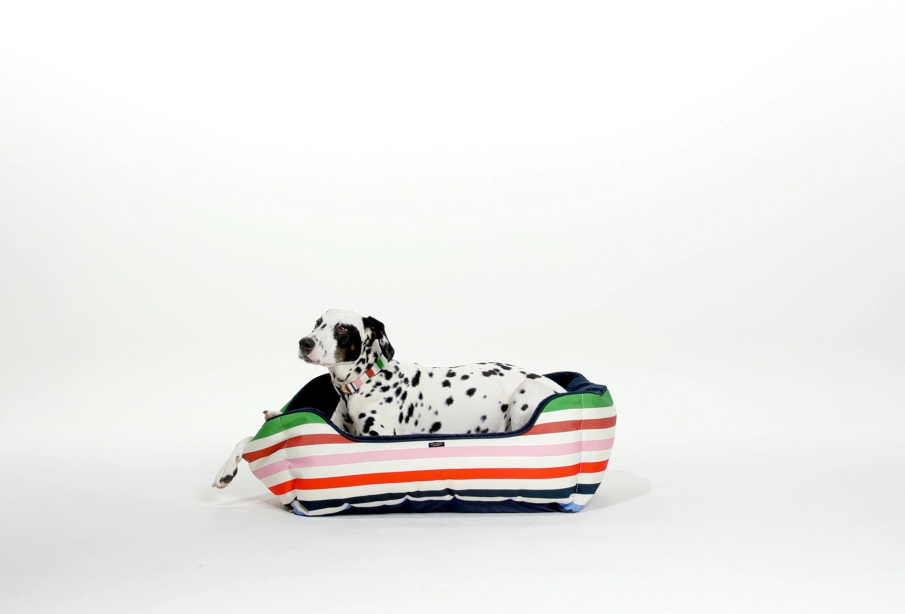 Kate Spade - Pet Bed Adventure Strip