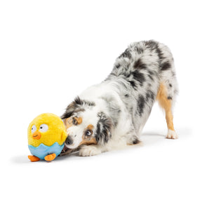 Huxley & Kent - Dog Toy Chick-A-Dee