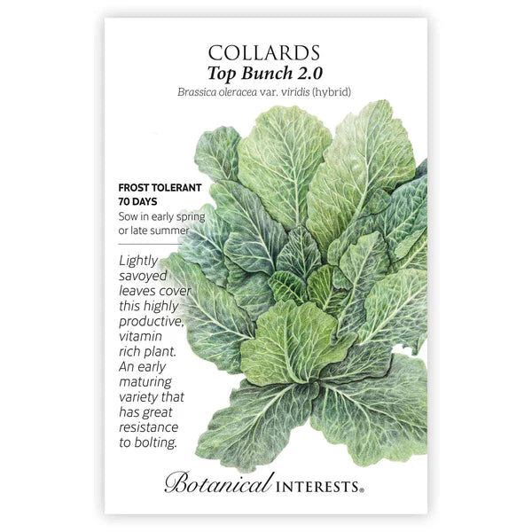Botanical Interests, Inc. - Collards Top Bunch 2.0 hybrid Seeds - Southern Agriculture 