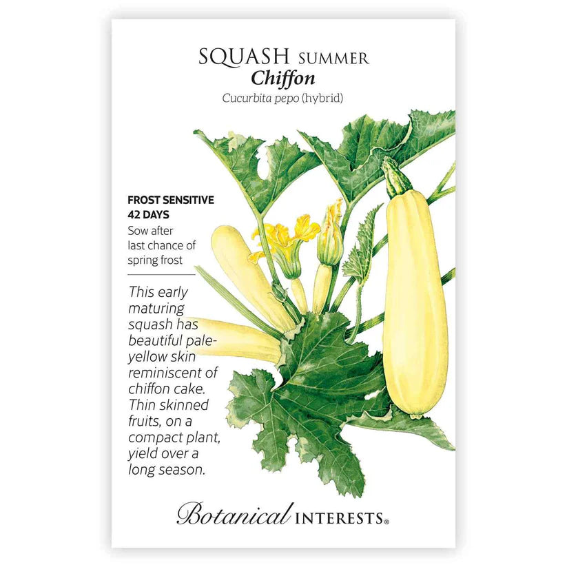 Botanical Interests, Inc. - Chiffon Summer Squash Seeds - Southern Agriculture 
