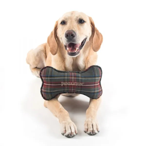 Carolina Pet Company - Pendleton Pet Throw & Toy Set