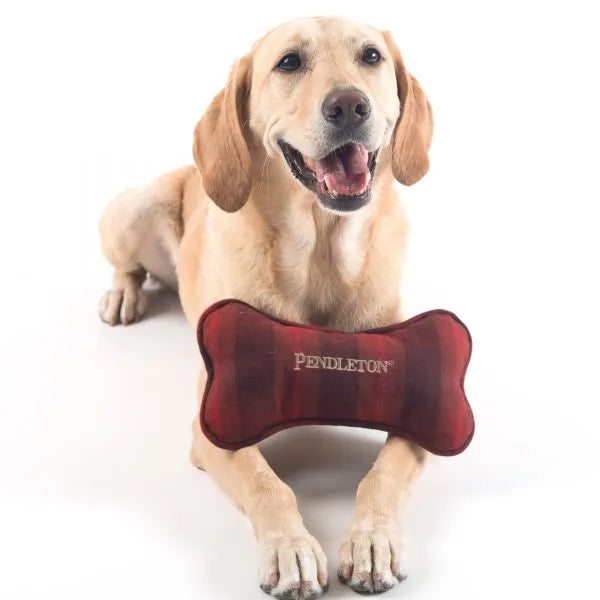 Carolina Pet Company - Pendleton Pet Throw & Toy Set