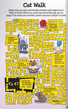 Wellspring- Activity Book - Mind Boggling Puzzles for Kids