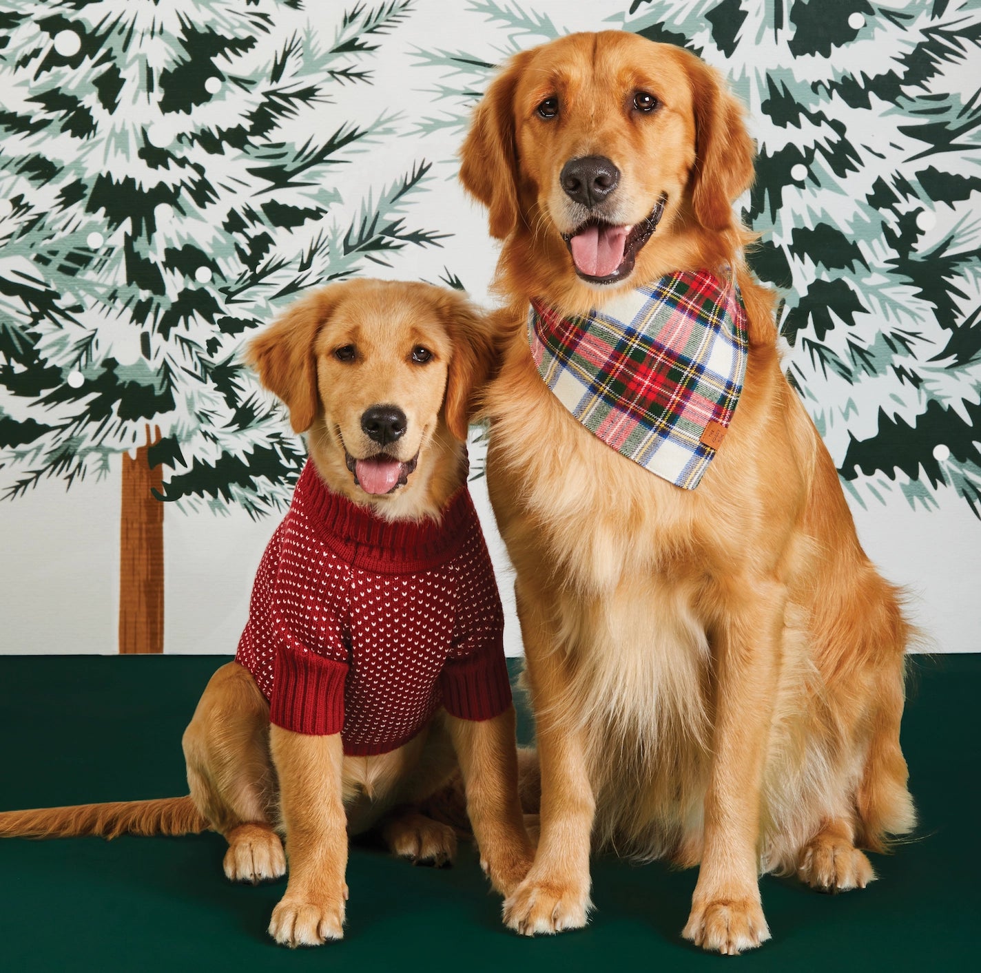The Foggy Dog - Dog Sweater Heart Stitch