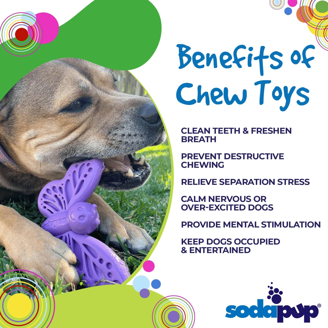 SodaPup - Butterfly Enrichment & Chew Dog Toy