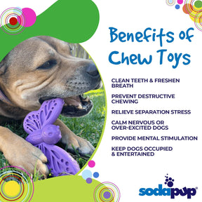 SodaPup - Butterfly Enrichment & Chew Dog Toy