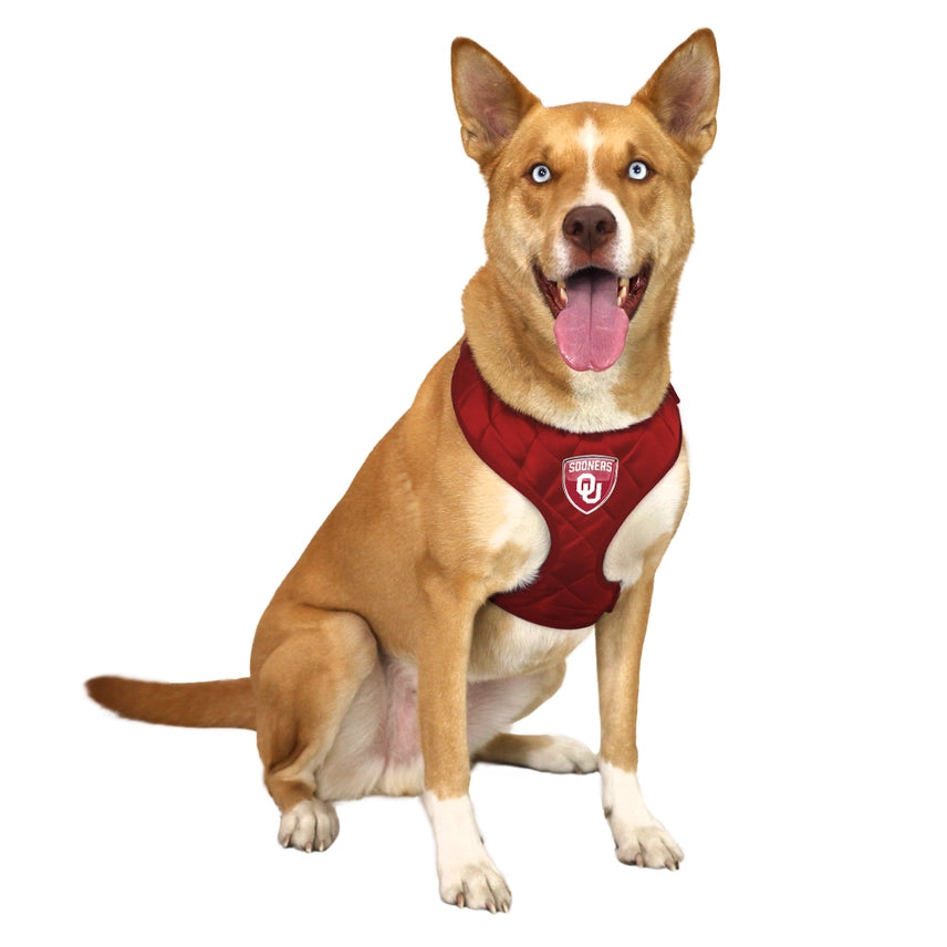 Little Earth Productions - Oklahoma Sooners Velvet Pet Harness