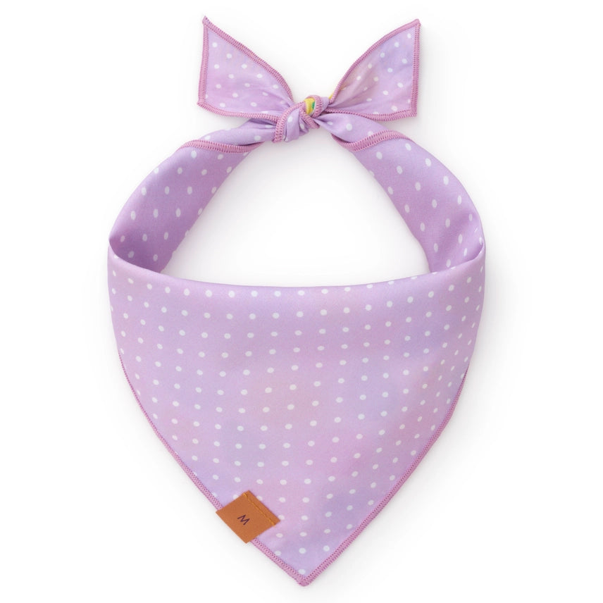 Foggy Dog - Bandana Dog Easter Eggs Reversible