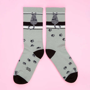 Gumball Poodle - Socks Cat Sitting Gray Tabby