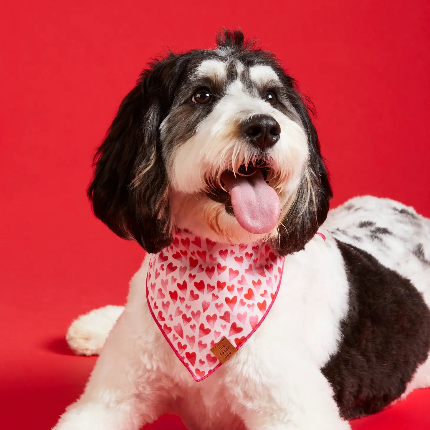 The Foggy Dog - Bandana Dog Heart Throb