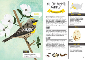 Gibbs Smith - Kid's Guide to Backyard Birds