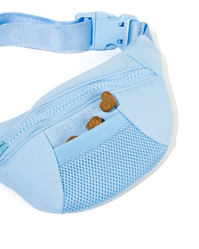 Springer - Sling Bag + Leash