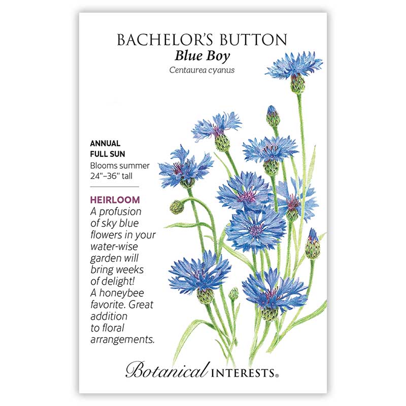Botanical Interests, Inc. - Blue Boy Bachelor's Button Seeds