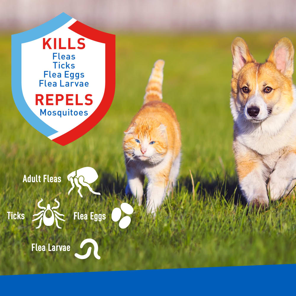 Adams -  Flea & Tick Spray - Southern Agriculture 