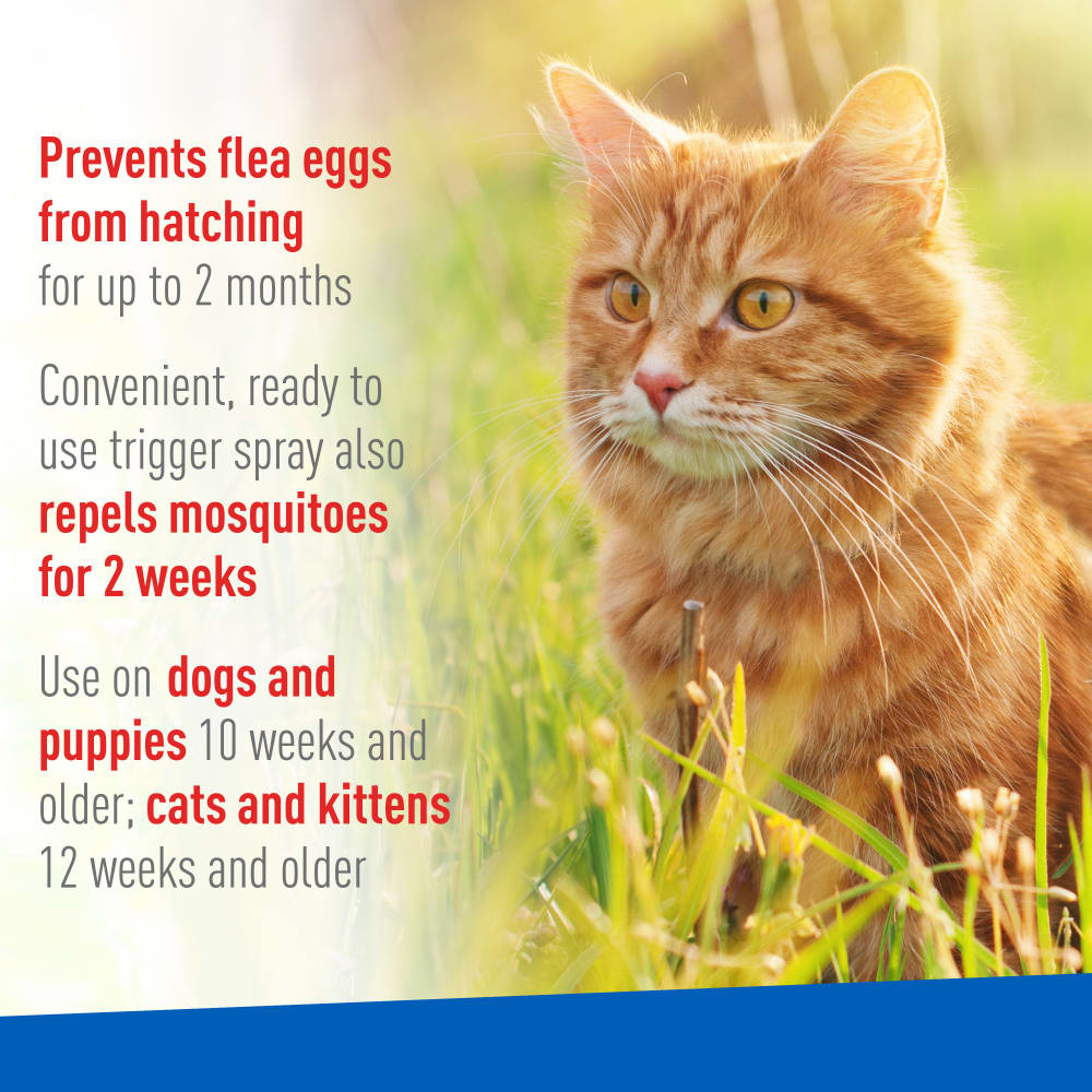 Adams -  Flea & Tick Spray - Southern Agriculture 