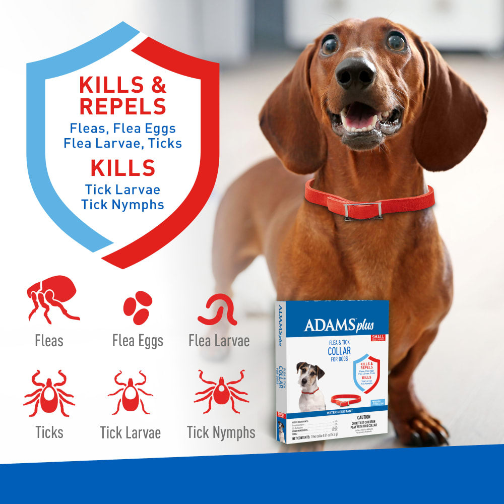 Adams -  Flea & Tick Collars for Dogs - Southern Agriculture 