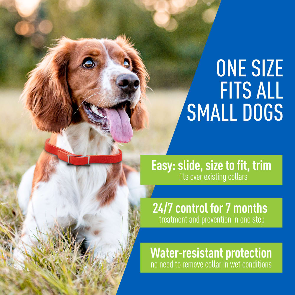 Adams -  Flea & Tick Collars for Dogs - Southern Agriculture 
