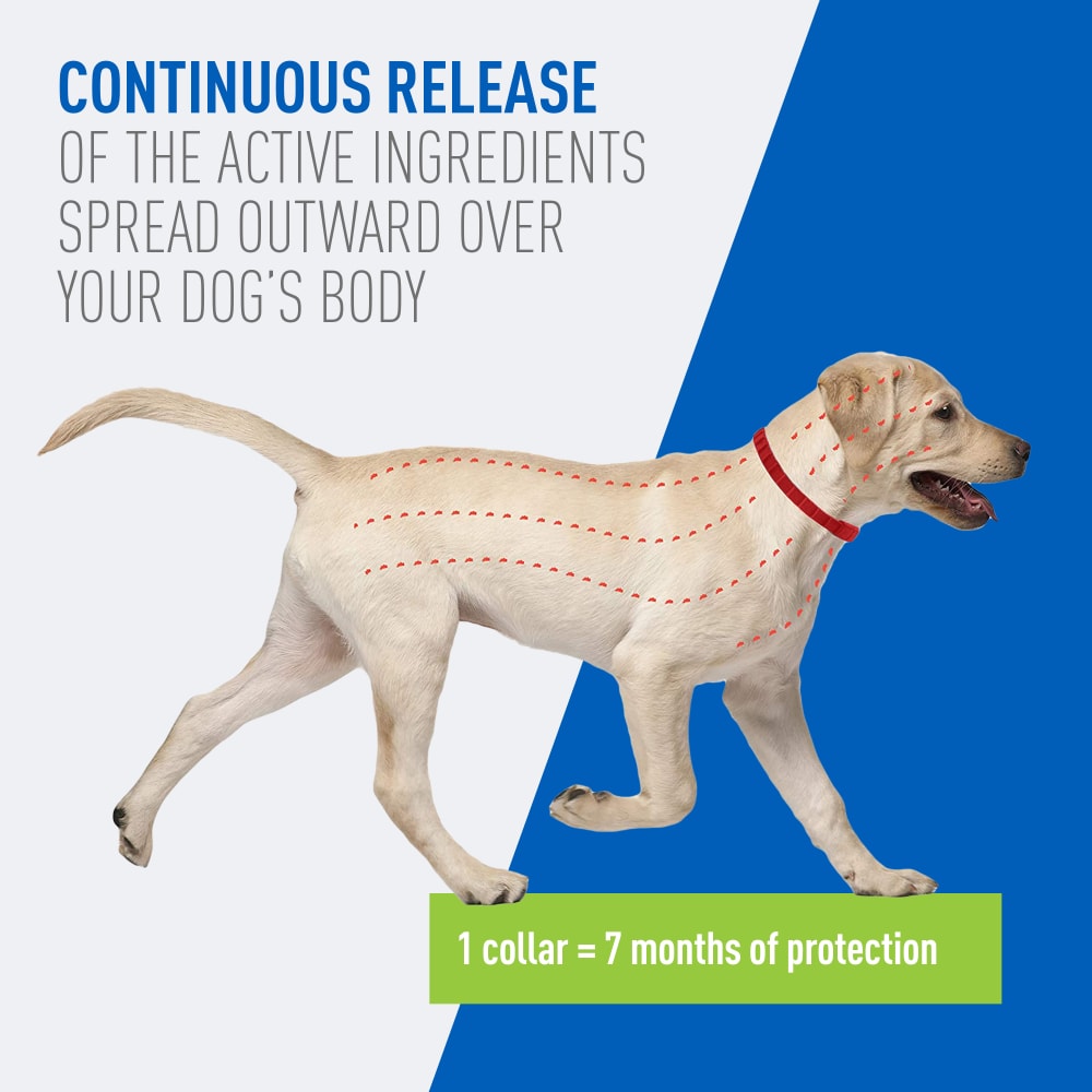 Adams -  Flea & Tick Collars for Dogs - Southern Agriculture 