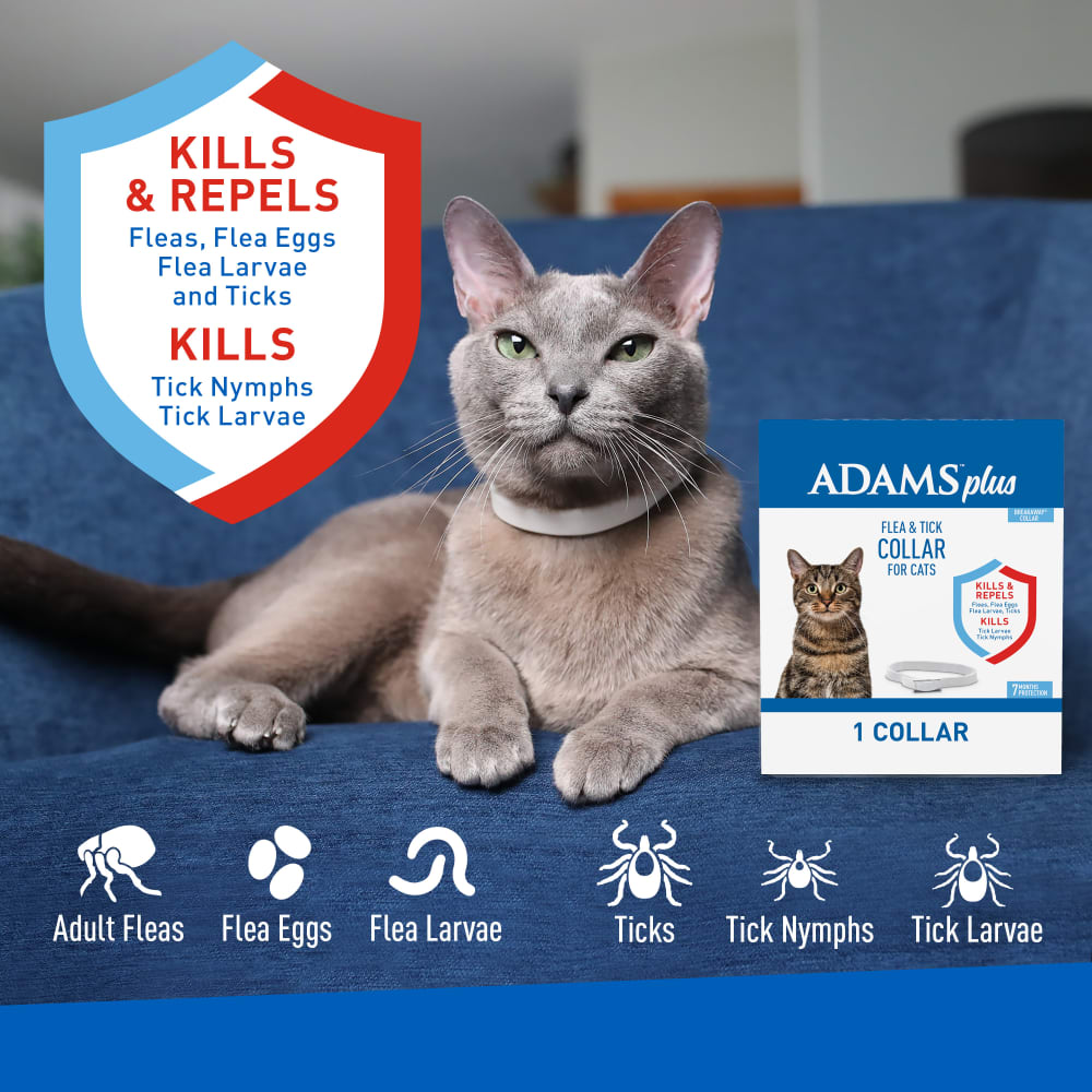 Adams -  Flea & Tick Collars for Cats - Southern Agriculture 