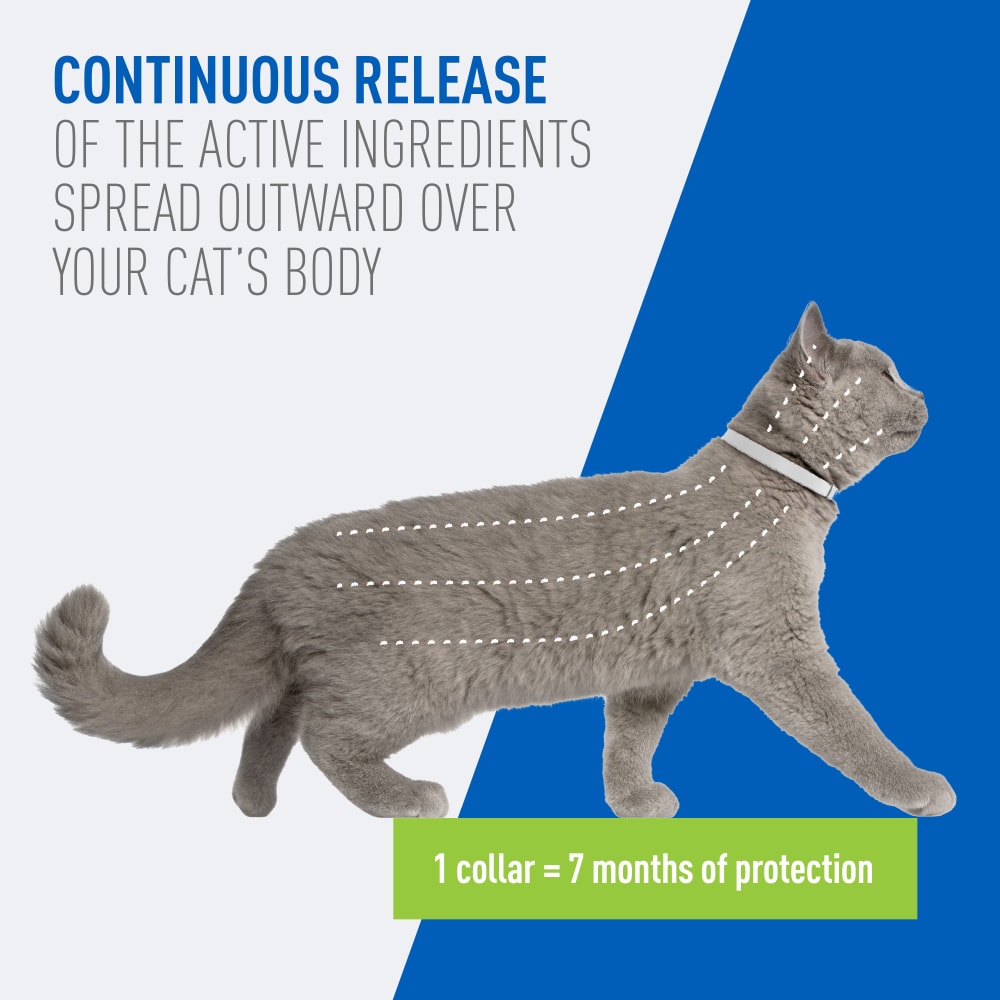 Adams -  Flea & Tick Collars for Cats - Southern Agriculture 