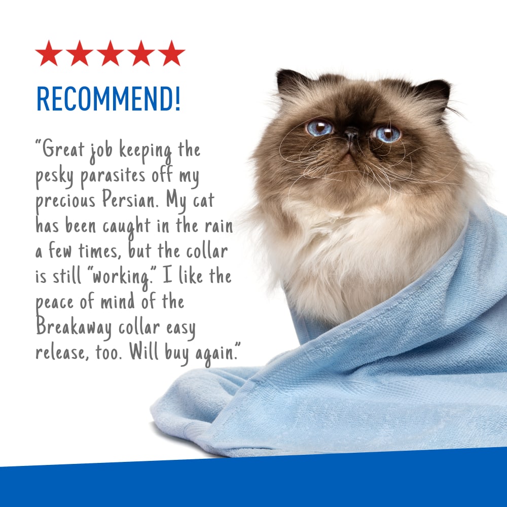 Adams -  Flea & Tick Collars for Cats - Southern Agriculture 
