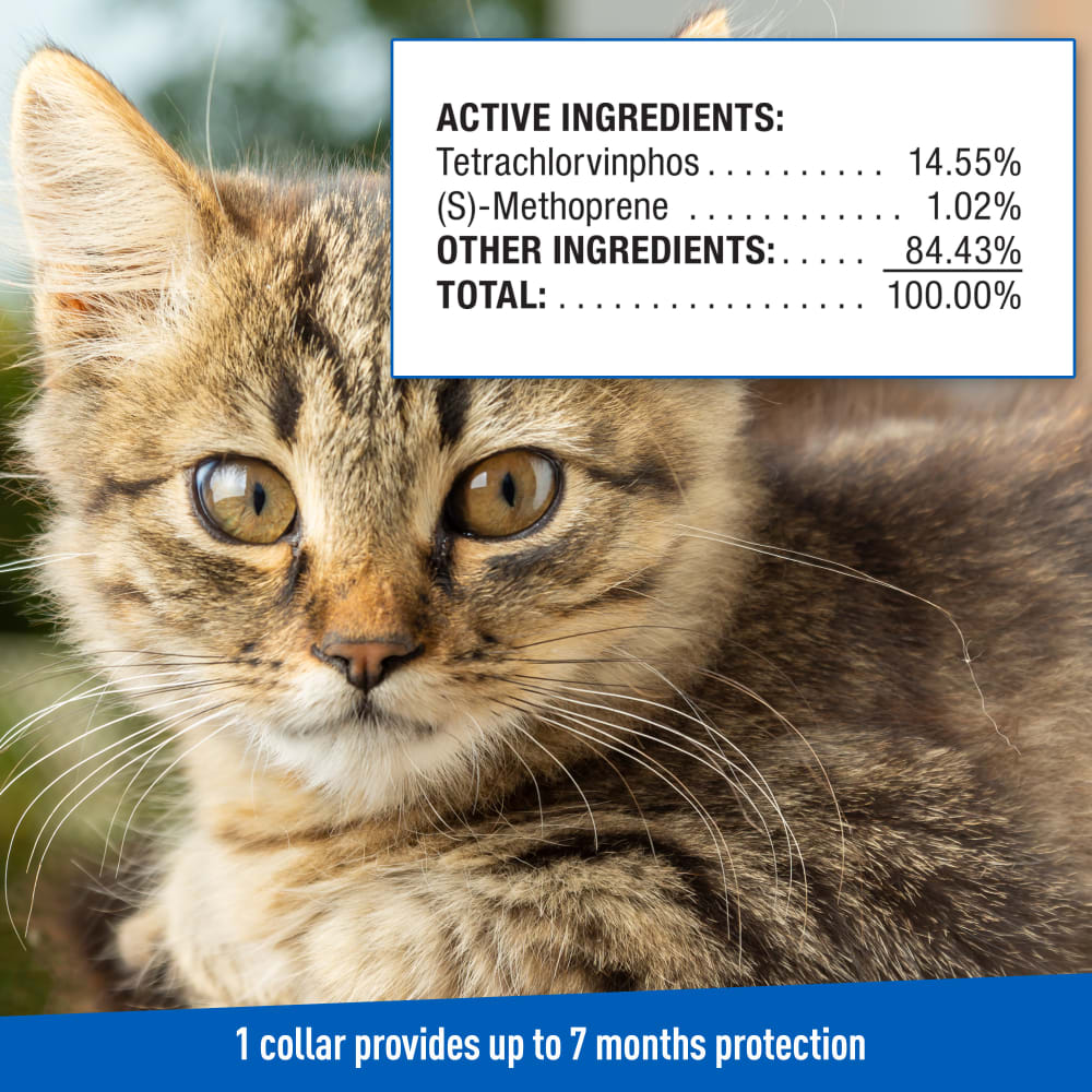 Adams -  Flea & Tick Collars for Cats - Southern Agriculture 