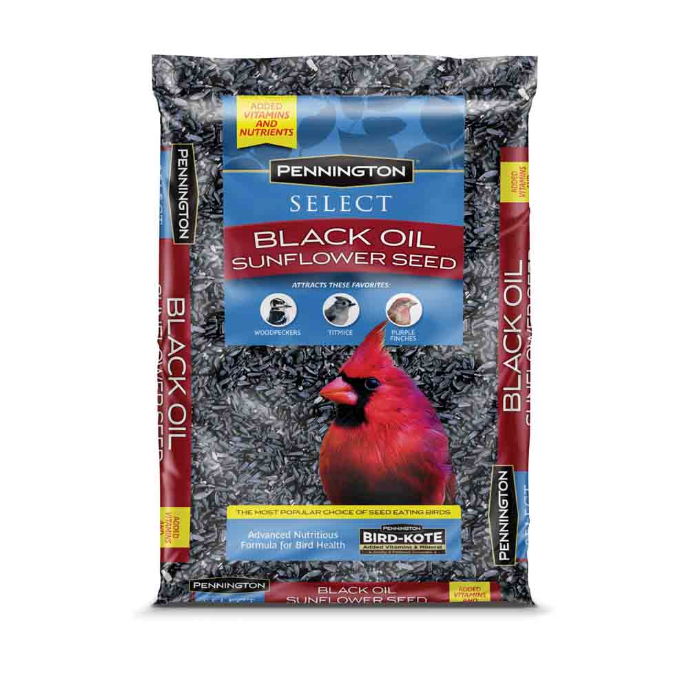 Pennington - Black Oil Sunflower Seed - Southern Agriculture 