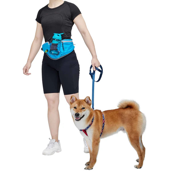 Blueberry Pet - All-Purpose Multi-function Dog Walking Bag - Southern Agriculture 