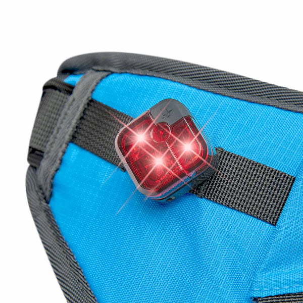 Blueberry Pet - All-Purpose Multi-function Dog Walking Bag - Southern Agriculture 