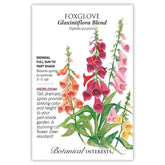 Botanical Interests, Inc. - Foxglove Gloxinia Flora Blend Seeds - Southern Agriculture 