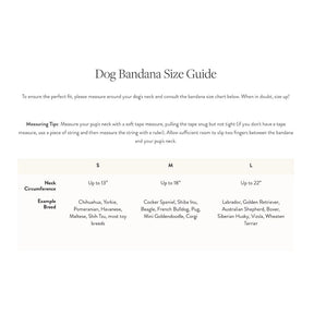 The Foggy Dog - Bandana Dog Squirrel Fall