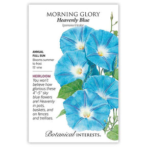 Botanical Interests, Inc. - Morning Glory Heavenly Blue Seeds - Southern Agriculture 