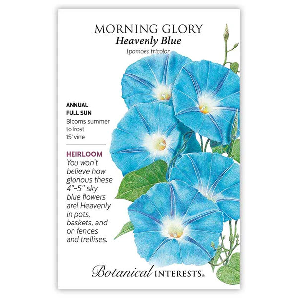 Botanical Interests, Inc. - Morning Glory Heavenly Blue Seeds - Southern Agriculture 