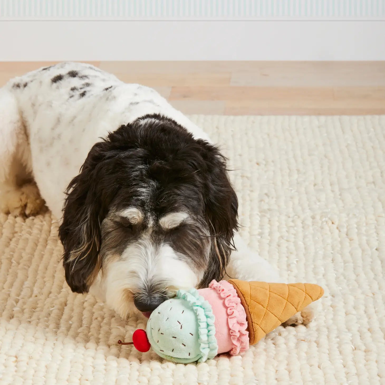 The Foggy Dog - Ice Cream Dog Toy