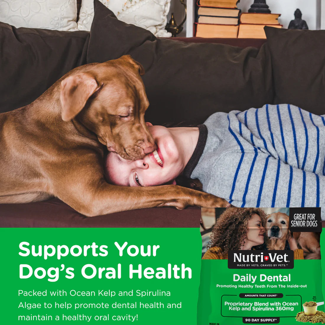 Nutri-Vet - Daily Dental Powder for Dogs