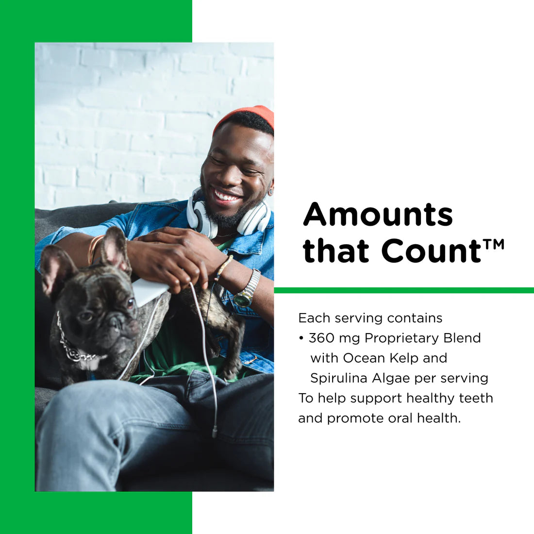 Nutri-Vet - Daily Dental Powder for Dogs