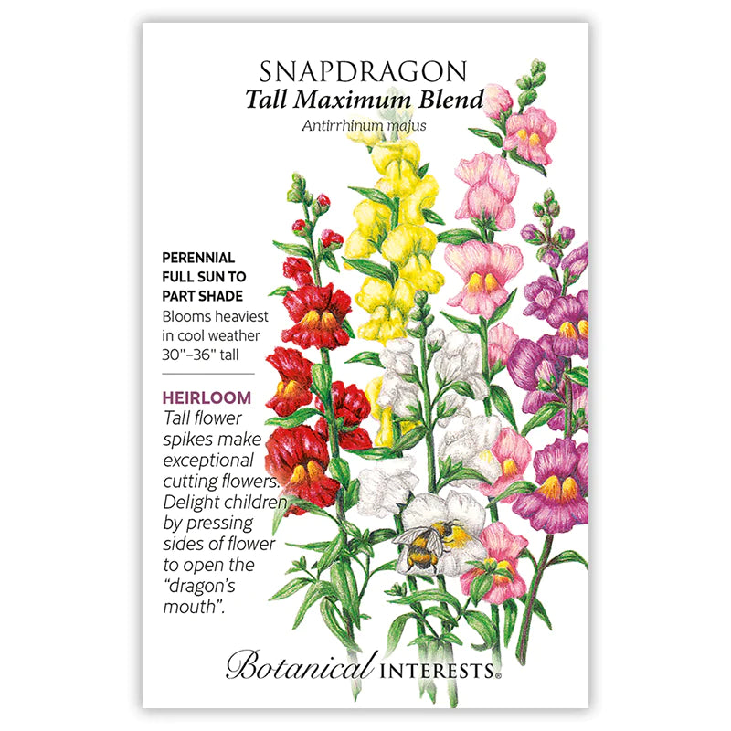 Snapdragon Tall Maximum Seeds - Southern Agriculture 