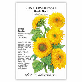Sunflower Dwarf Teddy Bear Seeds - Southern Agriculture 